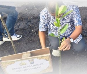 PT Pelindo Regional 1 Turut Berpartisipasi Dalam Giat Penanaman Mangrove Sambut Hari Lingkungan Sedunia