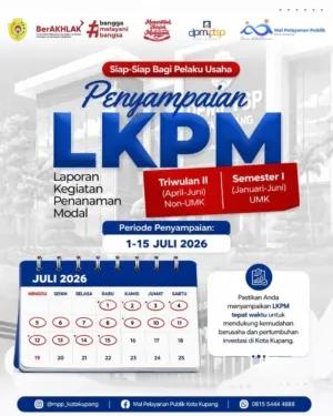 Mal Pelayanan Publik siapkan pendampingan untuk Pelaporan Investasi