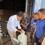 BULOG NTT Serap 7.407 Ton Beras Petani, Perkuat Swasembada Pangan Nasional