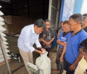 BULOG NTT Serap 7.407 Ton Beras Petani, Perkuat Swasembada Pangan Nasional