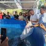Usman Husin Dorong Sentra Budidaya Lele di Kota Kupang, Pokdakan Lele 24 Terima Bantuan Enam Kolam