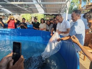 Usman Husin Dorong Sentra Budidaya Lele di Kota Kupang, Pokdakan Lele 24 Terima Bantuan Enam Kolam