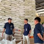 Perum BULOG NTT Pastikan Stok Beras Aman hingga Tiga Bulan ke Depan, Perkuat Ketahanan Pangan Daerah dan Nasional