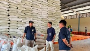 Perum BULOG NTT Pastikan Stok Beras Aman hingga Tiga Bulan ke Depan, Perkuat Ketahanan Pangan Daerah dan Nasional