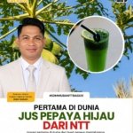 Tak Sekadar Jual Laptop, Injeksi Creative Center Cetak SDM Muda NTT dan Siapkan Penemu Jus Pepaya Hijau Pertama di Dunia