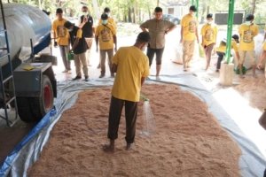 BP2SDM Wilayah VII Kupang Cetak Wirausahawan Kreatif Lewat Bimtek Budidaya Jamur Tiram, Dukung Ketahanan Pangan