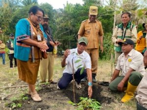 Tanam Durian di Desa Hoi, Usman Husin Ingin Jadikan Model untuk Kabupaten TTS