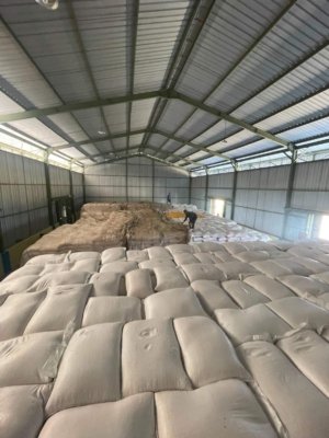 Bantu Petani dan Optimalkan Potensi Daerah, Perum BULOG NTT Serap 2.330 Ton Jagung untuk Pakan Ternak
