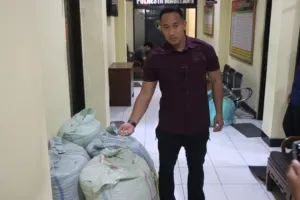 Nekat Curi Ratusan Kilogram Kapulogo Milik Majikan untuk Bayar Hutang, Pekerja Bangunan di Magelang Ditangkap Polisi