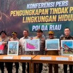 BKSDA Apresiasi Polda Riau Ungkap Perusakan Mangrove di Rohil