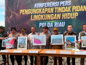 BKSDA Apresiasi Polda Riau Ungkap Perusakan Mangrove di Rohil