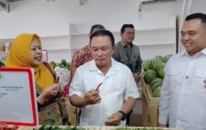 Serap 20 Ton Hasil Panen Sehari, Rumah Sayur PDAU Kuningan siap Dukung Ketahanan Pangan