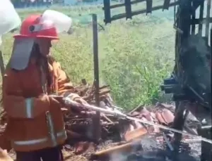 Hampir Merembet ke Pemukiman, Kebakaran Kandang Kambing di Losari Berhasil Dikendalikan Damkar Cirebon