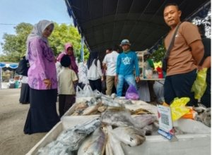 DKPP Cirebon Gencarkan Gemarikan 2026: Dari Bazar Ikan hingga Pembayaran Digital QRIS