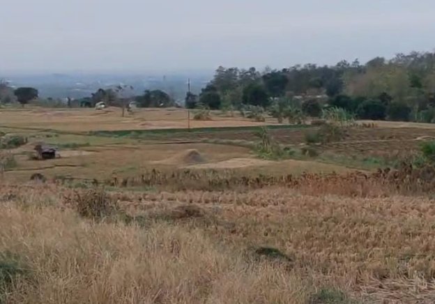 Antisipasi Krisis Air dan Karhutla, Pemkab Cirebon Tetapkan Status Siaga Darurat Kemarau 2026 Antisipasi Krisis Air dan Karhutla, Pemkab Cirebon Tetapkan Status Siaga Darurat Kemarau 2026
