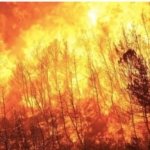 Eskalasi Karhutla Jabar: Empat Kabupaten Terbakar dalam 24 Jam, BPBD Tekan Peran Warga