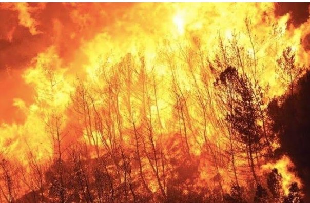 Eskalasi Karhutla Jabar: Empat Kabupaten Terbakar dalam 24 Jam, BPBD Tekan Peran Warga Eskalasi Karhutla Jabar: Empat Kabupaten Terbakar dalam 24 Jam, BPBD Tekan Peran Warga