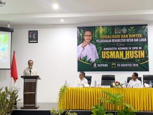 Usman Husin Apresiasi Keberhasilan BPDAS Benain Noelmina Pulihkan Hutan Gersang, Puluhan Mata Air Kembali Muncul