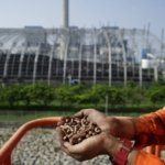 PLN UPK Timor dan Kawasan Industri Bolok Bahas Peluang Investasi Pemasok Woodchip untuk Dukung Cofiring PLTU Bolok