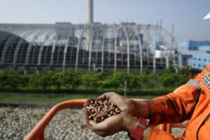 PLN UPK Timor dan Kawasan Industri Bolok Bahas Peluang Investasi Pemasok Woodchip untuk Dukung Cofiring PLTU Bolok