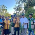 Usman Husin Tembus Kebun Bawang Putih Kokbaun, Temukan Potensi Lokal untuk Dukung Swasembada Nasional