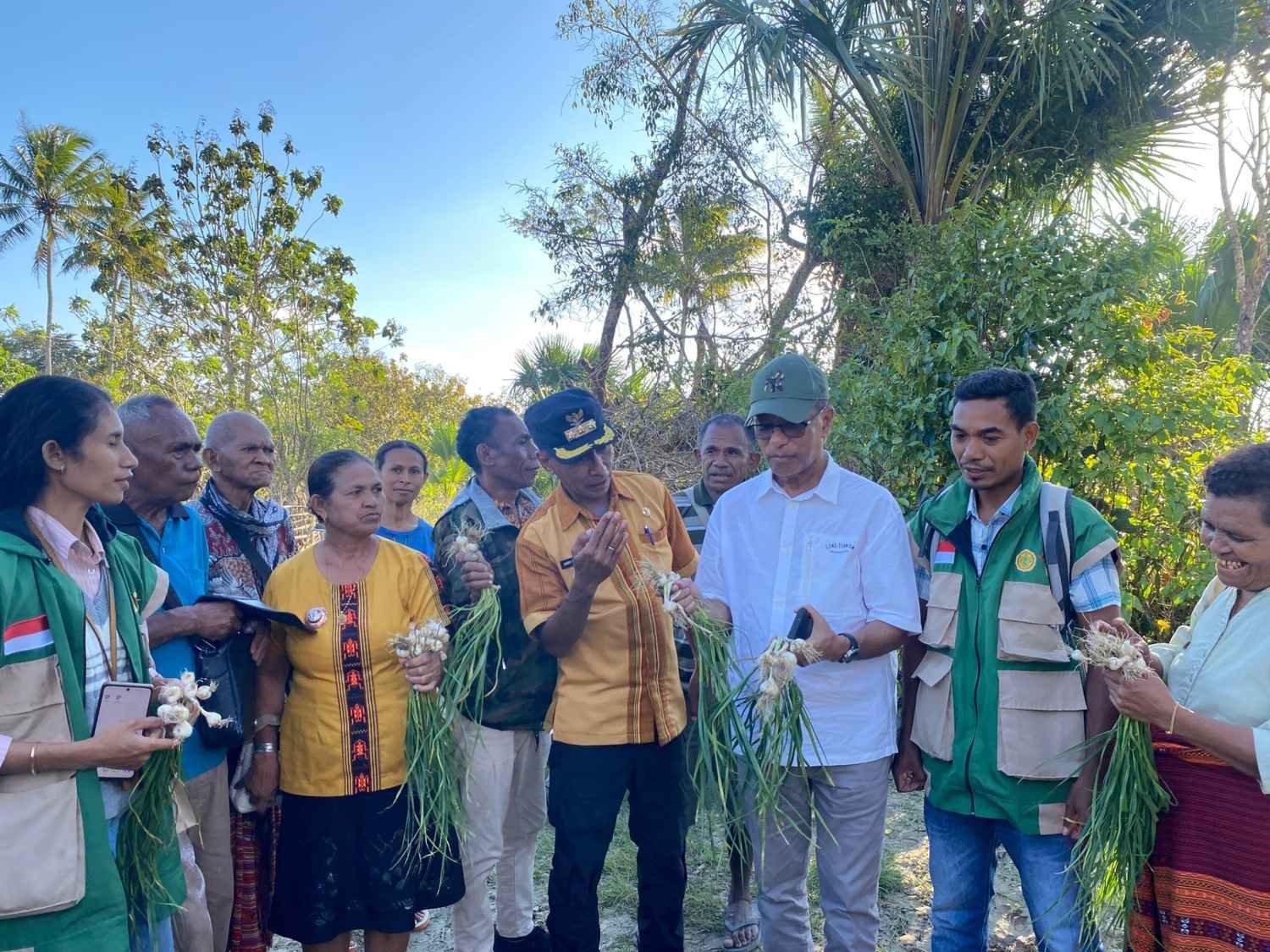 Usman Husin Tembus Kebun Bawang Putih Kokbaun, Temukan Potensi Lokal untuk Dukung Swasembada Nasional Usman Husin Tembus Kebun Bawang Putih Kokbaun, Temukan Potensi Lokal untuk Dukung Swasembada Nasional