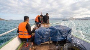 Jelang HPN, PLN Jaga Keandalan Listrik hingga Pulau Terluar Salura NTT