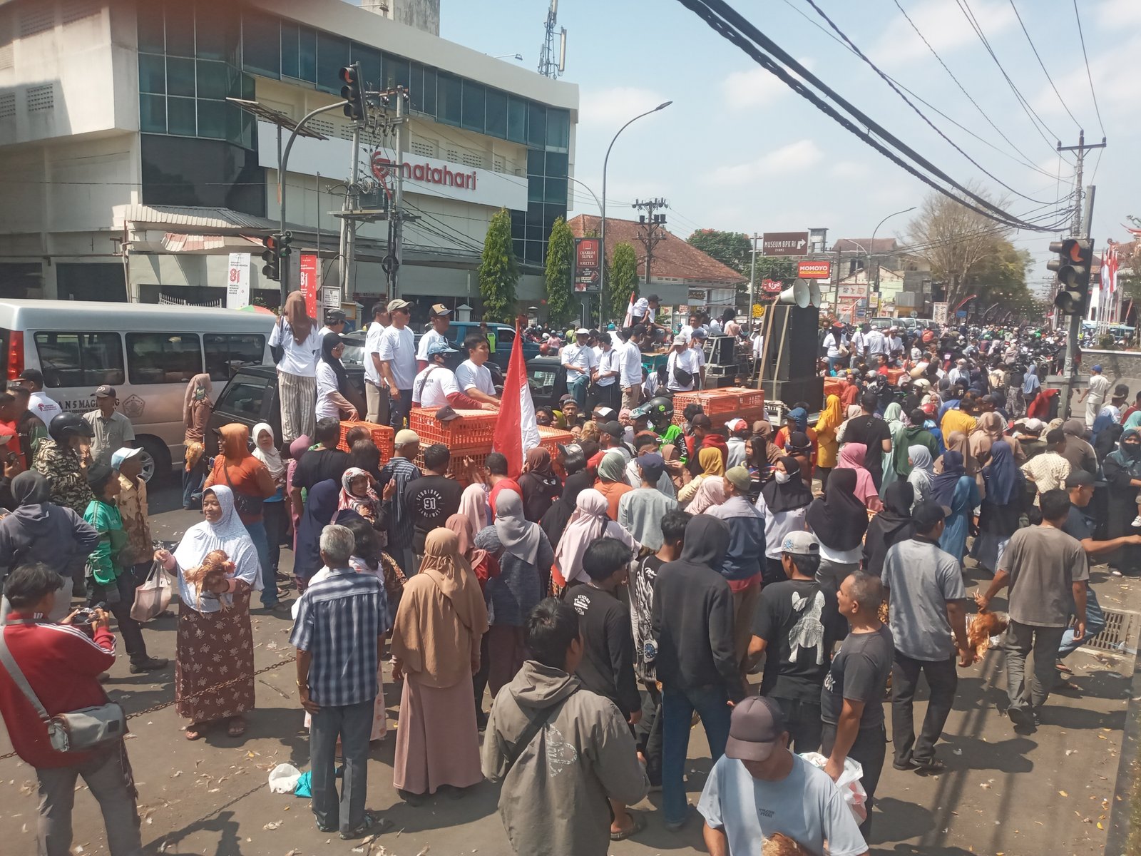 Aksi Damai Peternak Ayam di Alun-Alun Kota Magelang, Ribuan Ayam Dibagikan ke Masyarakat