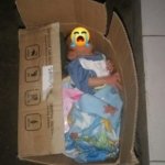 Warga di Kejutkan Ditemukan Bayi Laki-Laki dalam Kardus di Pasar Klitikan Sleman