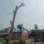 Warga RT 04 Gang Surau Dumai Belum Dapat Jawaban, Sudah 10 Tahun Ajukan Permohonan Tiang Listrik