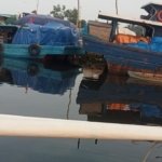 Aktivitas Pelabuhan Tikus di Tanjung Sengkuang Disorot, Diduga terkait Impor Buah dan Barang Ilegal