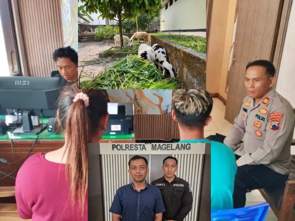 Dua Tersangka Pencuri Kambing Ditangkap Pulisi di Dukun Kabupaten Magelang Dua Tersangka Pencuri Kambing Ditangkap Pulisi di Dukun Kabupaten Magelang