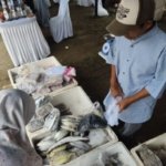 Produksi Perikanan Kabupaten Cirebon Melonjak di Akhir Tahun, Budi Daya Jadi Penopang Utama
