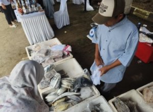 Produksi Perikanan Kabupaten Cirebon Melonjak di Akhir Tahun, Budi Daya Jadi Penopang Utama
