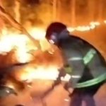 Kelalaian Sepele, 2 Hektar Hutan Jati di Gempol Hangus Terbakar