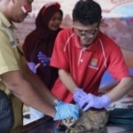 Dorong Kemandirian Ekonomi, Distan Cirebon Gelar Pasar Tani Khusus Produk Olahan KWT