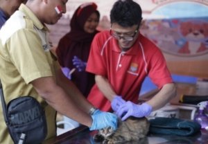 Dorong Kemandirian Ekonomi, Distan Cirebon Gelar Pasar Tani Khusus Produk Olahan KWT