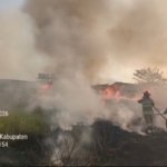 Kebakaran Lahan di Weru Berhasil Dikendalikan, Angin Kencang Perparah Penyebaran Api