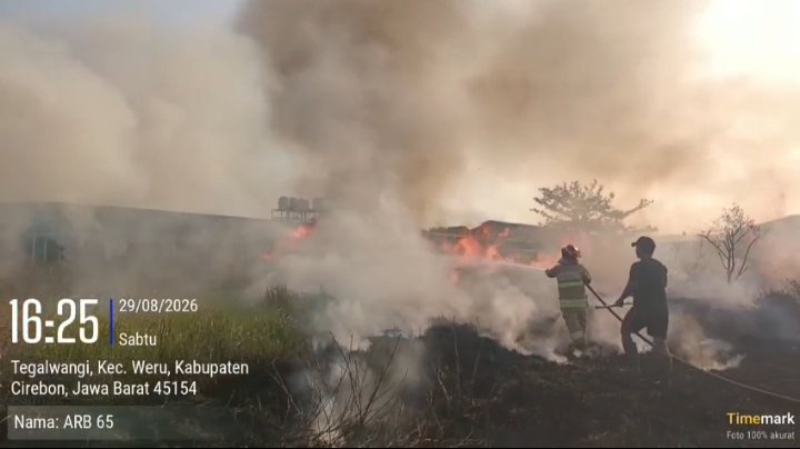 Kebakaran Lahan di Weru Berhasil Dikendalikan, Angin Kencang Perparah Penyebaran Api
