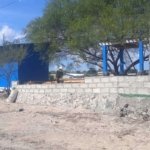 PLN UPK Timor Revitalisasi 5 Hektare Kawasan Mangrove Terdampak Badai Seroja