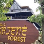 Izin PBG Mengajukan Pembangunan Green Mosque (Masjid Ramah Lingkungan) Kajene Forest Ironis Tidak Memiliki Izin AMDAL
