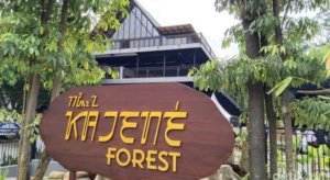 Izin PBG Mengajukan Pembangunan Green Mosque (Masjid Ramah Lingkungan) Kajene Forest Ironis Tidak Memiliki Izin AMDAL