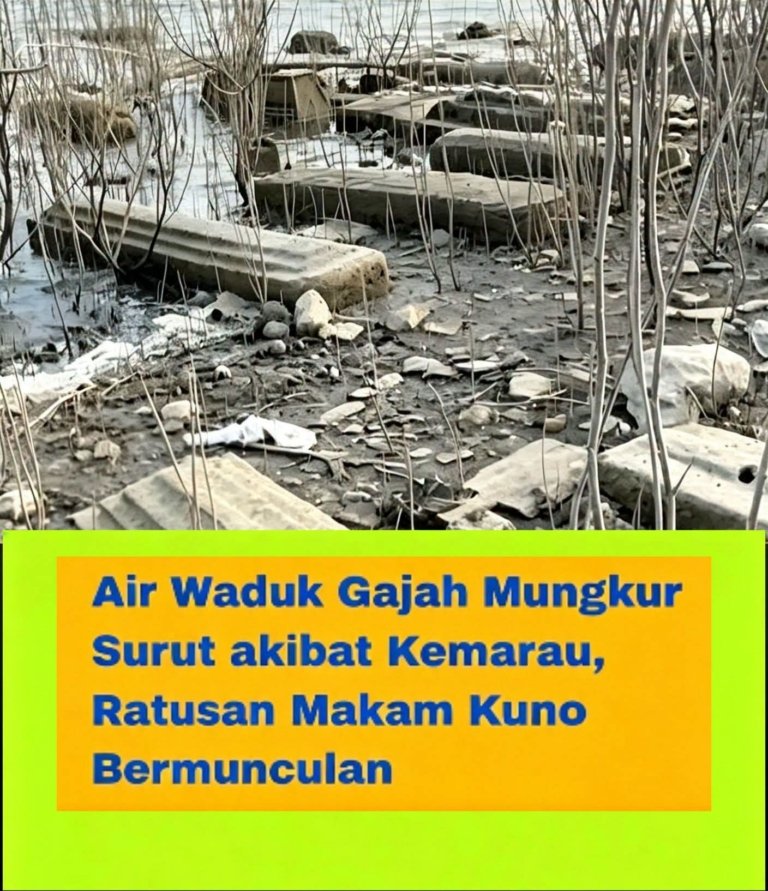 Ratusan Makam Kuno di Dasar Waduk Gajah Mungkur Bermunculan