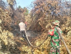  Kodam XIX/Tuanku Tambusai Perkuat Penanganan Karhutla di Wilayah Indragiri Hilir