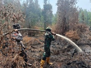 Kodam XIX/Tuanku Tambusai Bersama Tim Gabungan Sisir Titik Asap Karhutla di Pelalawan