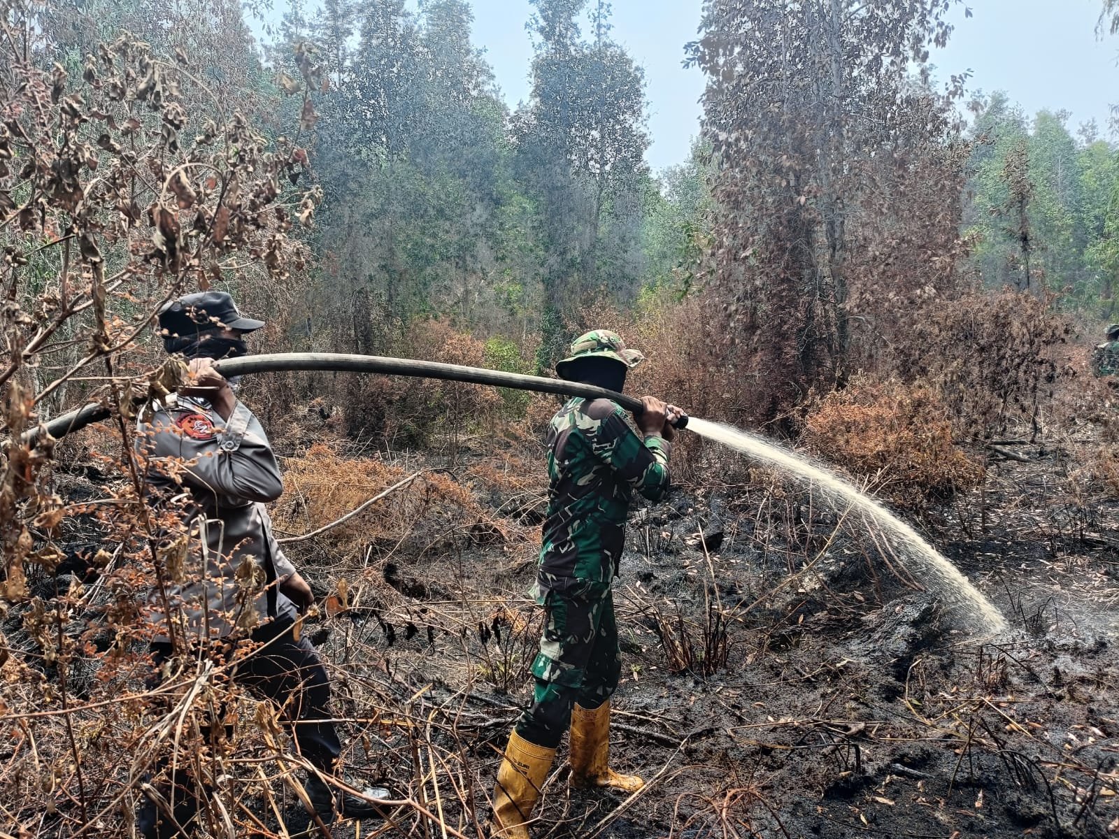 Kodam XIX/Tuanku Tambusai Bersama Tim Gabungan Sisir Titik Asap Karhutla di Pelalawan Kodam XIX/Tuanku Tambusai Bersama Tim Gabungan Sisir Titik Asap Karhutla di Pelalawan