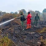 Kodam XIX/Tuanku Tambusai Perkuat Penanganan Karhutla, Tim Gabungan Bergerak di Kuala Cenaku dan Rengat Barat