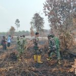 Kodam XIX/Tuanku Tambusai Hadapi Karhutla Gambut, Pemadaman Terus Diperkuat Di 8 Titik
