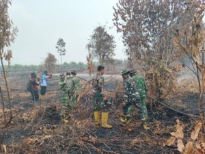 Kodam XIX/Tuanku Tambusai Hadapi Karhutla Gambut, Pemadaman Terus Diperkuat Di 8 Titik