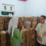 Dari Talun, Sumpia Udang Maksum Tembus Pasar Jatim hingga Palembang, Produksi Capai 1 Ton per Hari